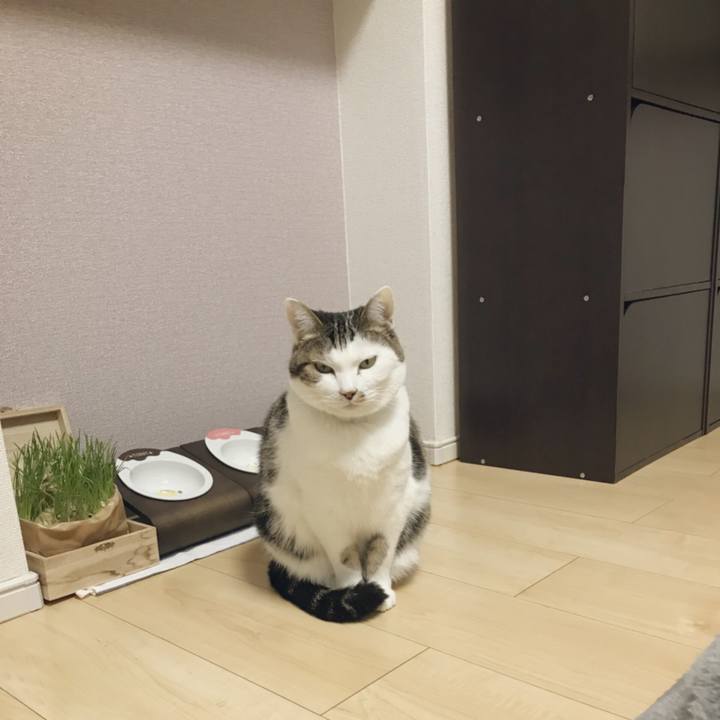 7aeed817 73bd 4a44 93e5 7977f9fbfaf0 1516961320921