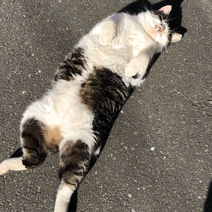 7aeeec46 a91f 40b1 b6af d8ede3117f06 1578641747392