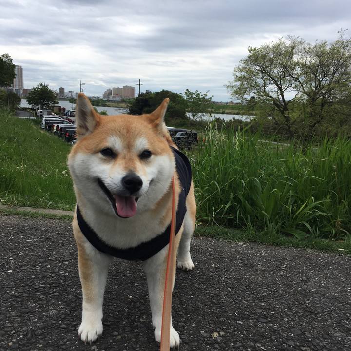 7aef0d9d 9cf9 4d2c adb6 c9753dae7fc8 1556519860884