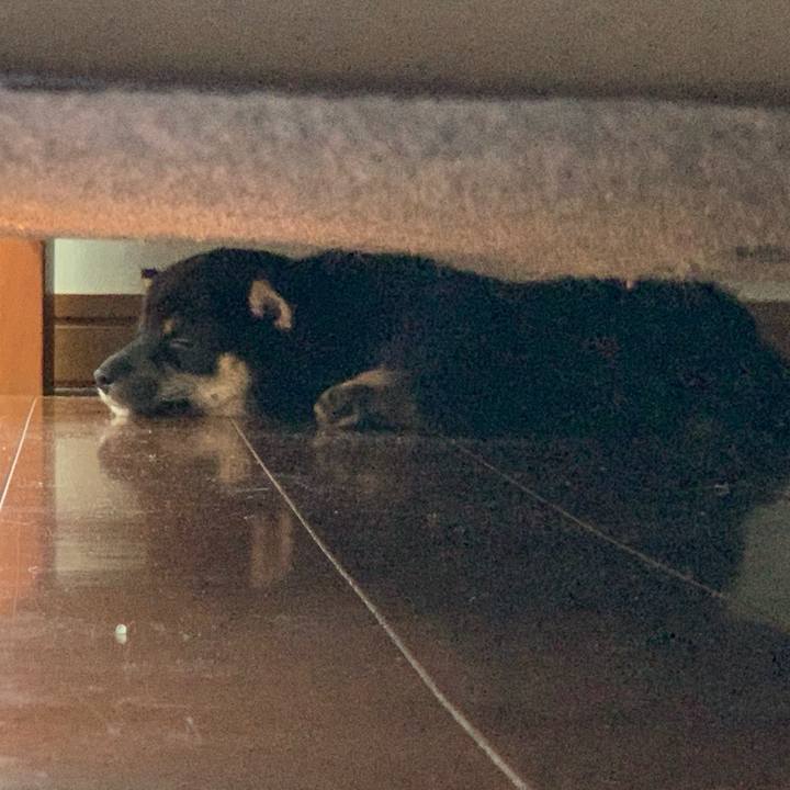 7aef0dd3 b553 4455 8422 eb0f0a7913a2 1598200643030