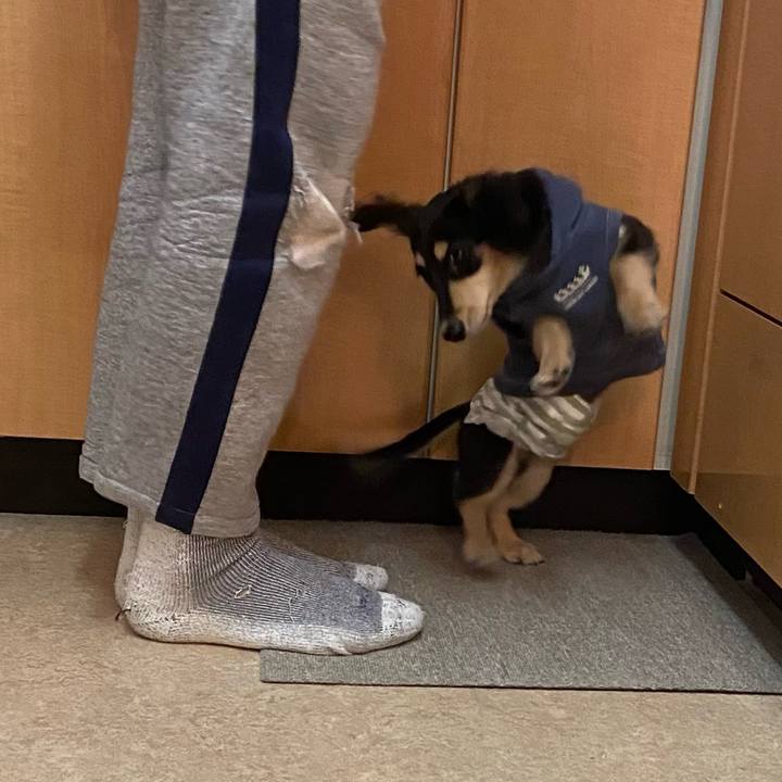 7aef1c8d 1181 4154 abeb 53d219af3e45 1670106972887