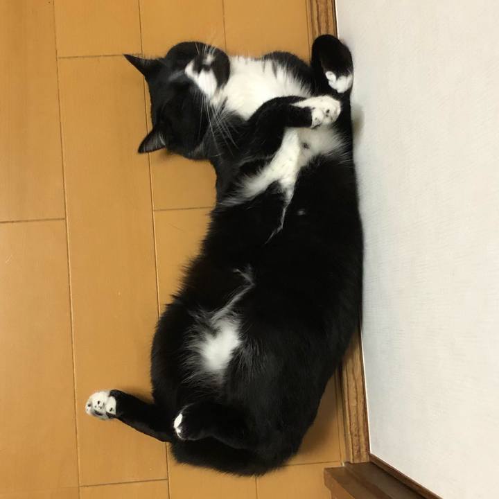 7aef39fd 62dc 4f2a a1d0 fa1e18f83e4e 1584330313063