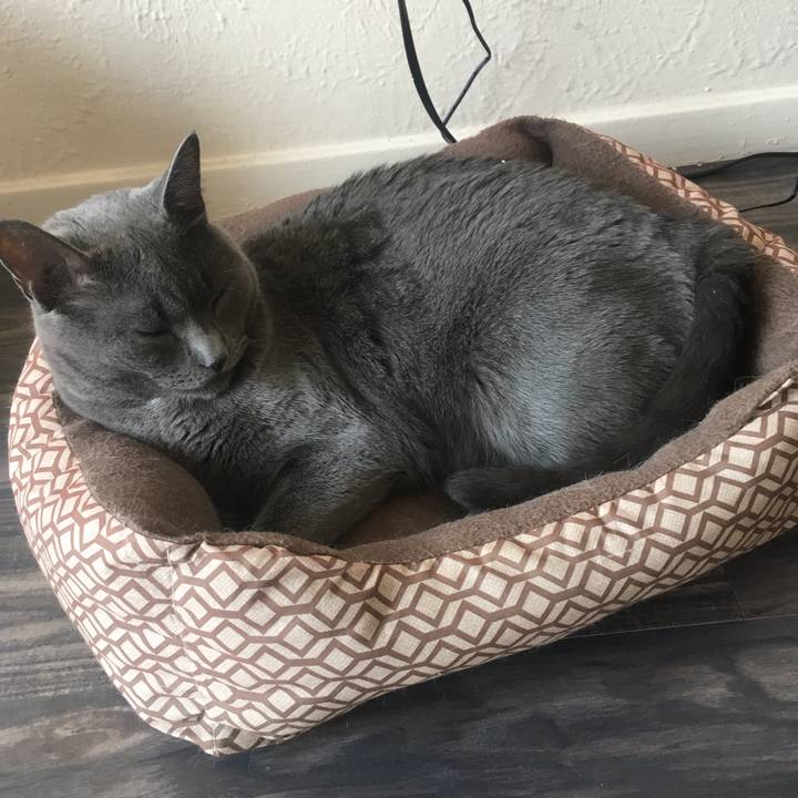 7aef42af 0b25 46e0 aef1 373273fa1d53 1633876999114