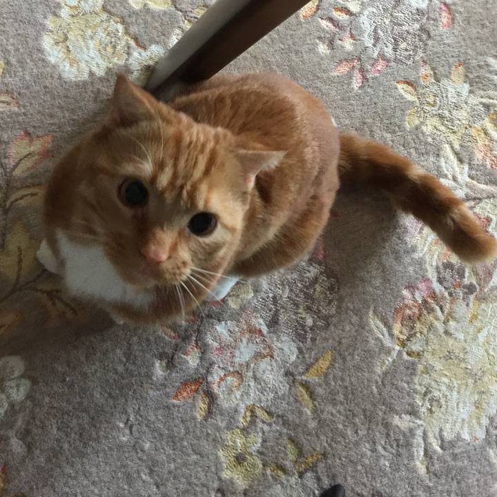 7aef7205 c896 495f 935b b2fc61b759a6 1528150354833