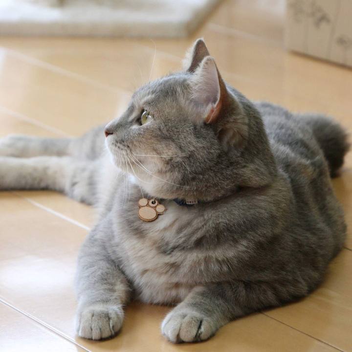 7aef7969 fff2 43ce 9dfb 2b40caee3a5b 1563249489863