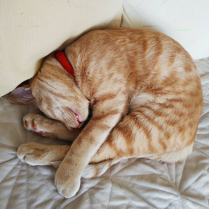 7aefa04e aee0 4ab1 937a e8263d5a17c3 1555811316613