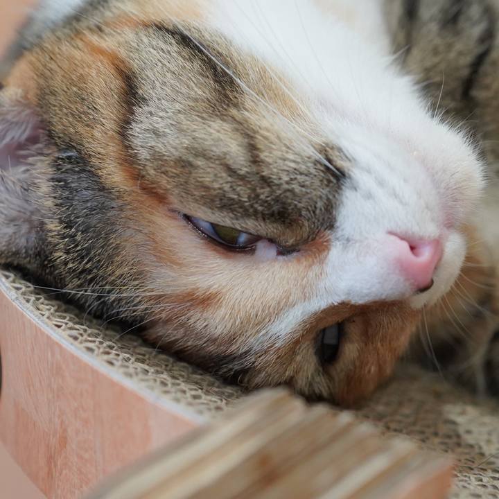 7aefa67c 167d 4d54 873a b639e6450328 1626498216938