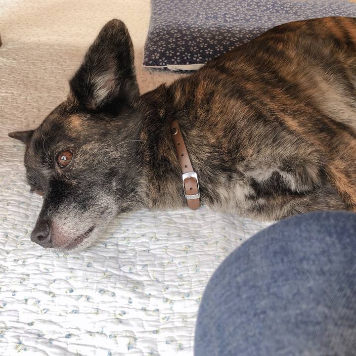 7aefd6ae 293b 42c0 8493 c6bfc1cc2e0b 1571196577854