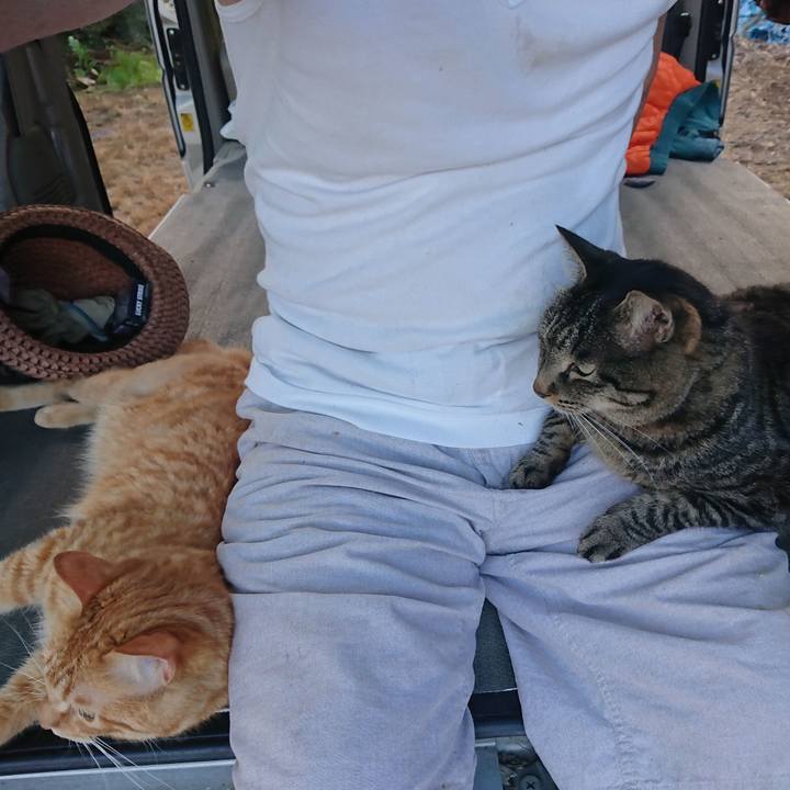 7aefd6d8 03ab 43a6 a48b ca21887ca671 1658649159423