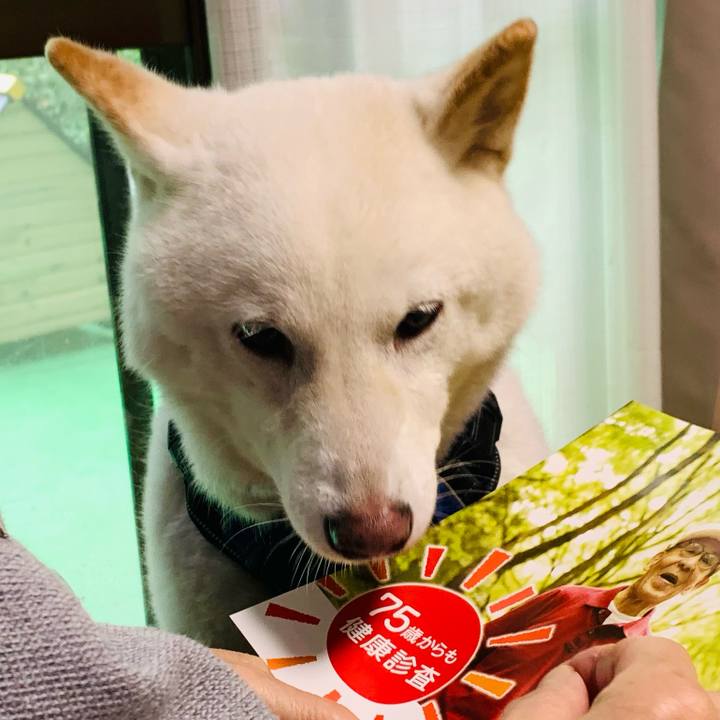 7aefeefa 869c 4c52 a042 8acf04d1f2cf 1663550601511