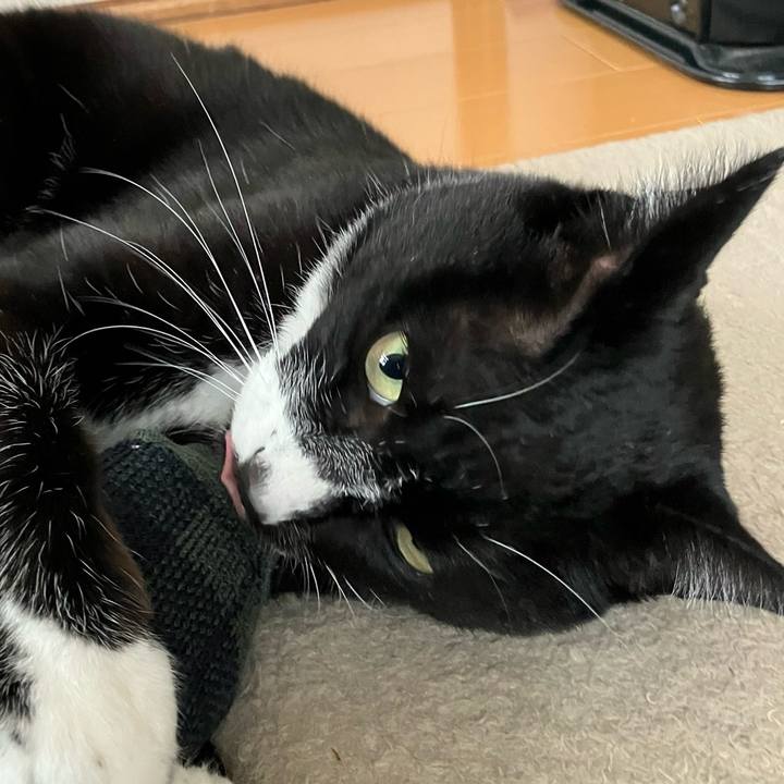 7af00105 991b 485a 9e9e 508769a6e466 1705031646238