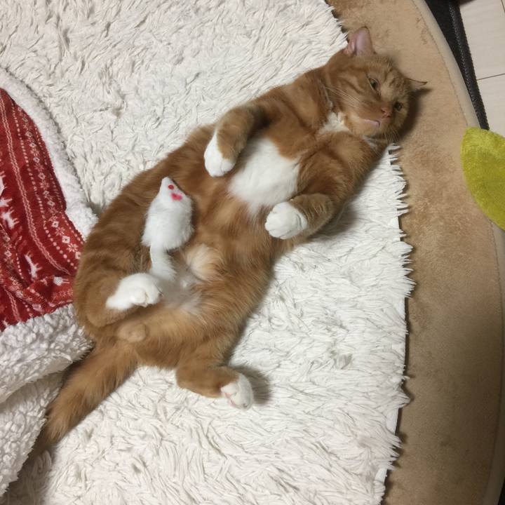 7af0140a 5332 49ee bddc 9d5dea555403 1607169240834