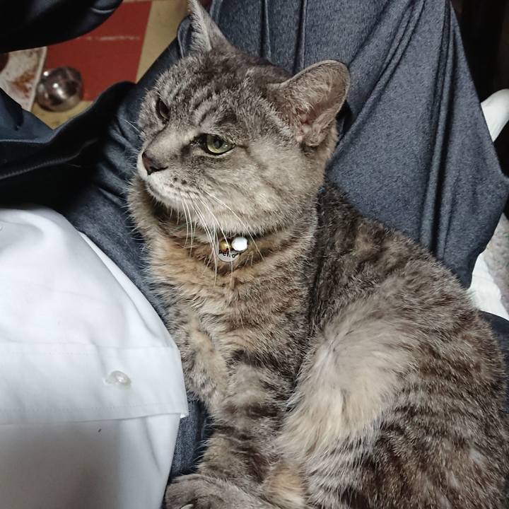 7af01b0b 736b 4233 b89b 3ddffb93ec5c 1604002229960