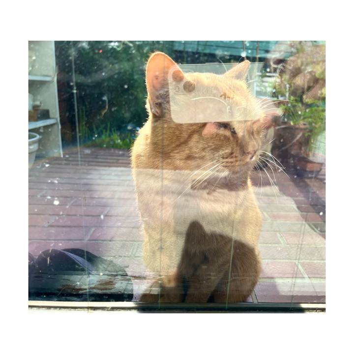 7af01cc3 48c2 43e5 84b7 5d1630e93f8d 1668045680717