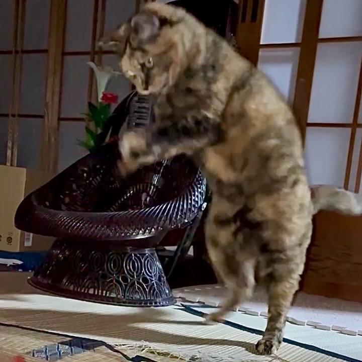 7af033ea 8522 42e5 8aaf 33d8ac715076 1767211674204