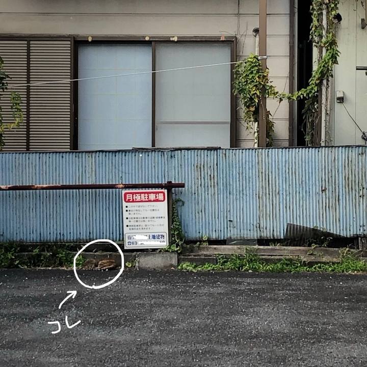 7af0a911 9bb0 4500 af14 482788ce1df8 1570455889928