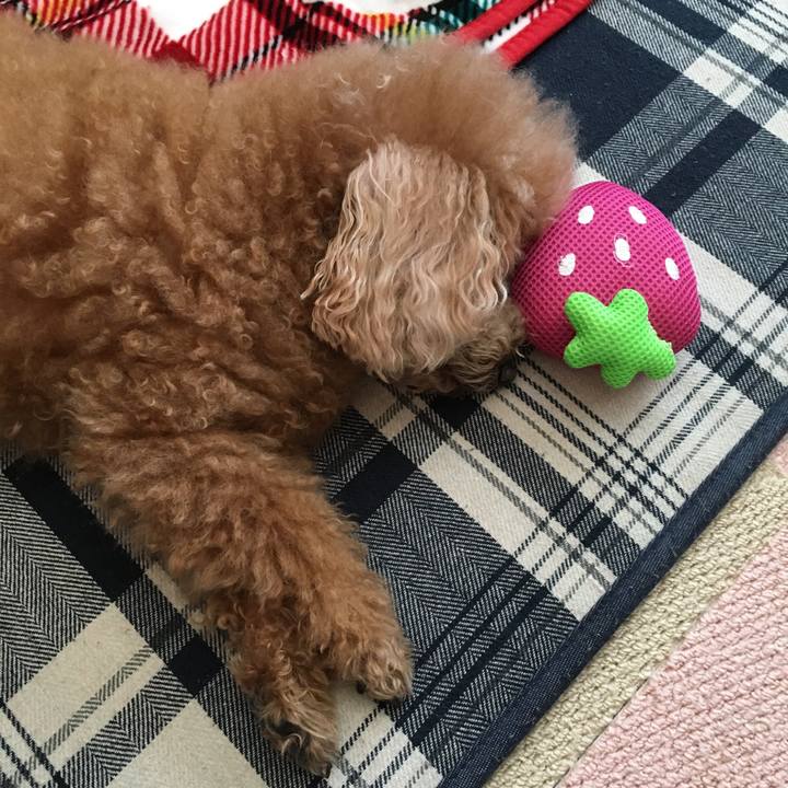 7af0db2d 2fec 4d8e afe2 0545129c8701 1519515286072