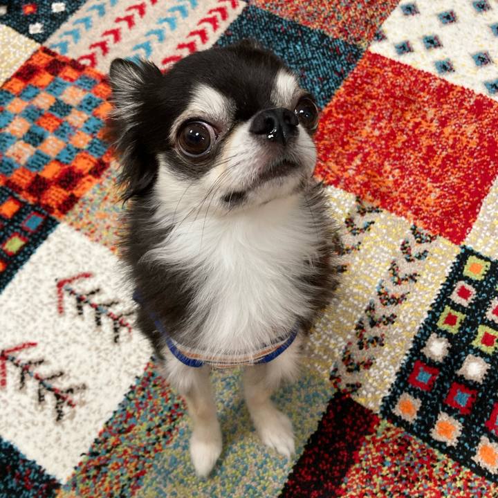 7af0eedc df04 4c0b 9ec7 f5ef21184808 1693751031250