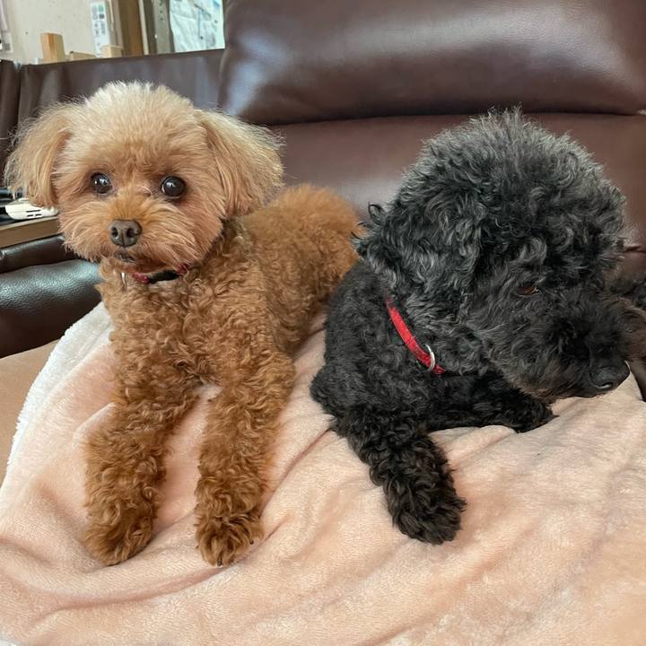 7af128a7 8f77 407b 88b6 7f36ce6f4007 1702178789975