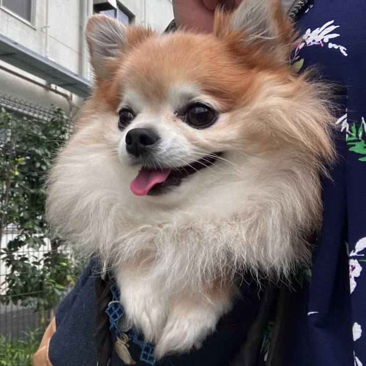 7af18468 8a58 4acc 956d c48ca02d9d06 1760600230194