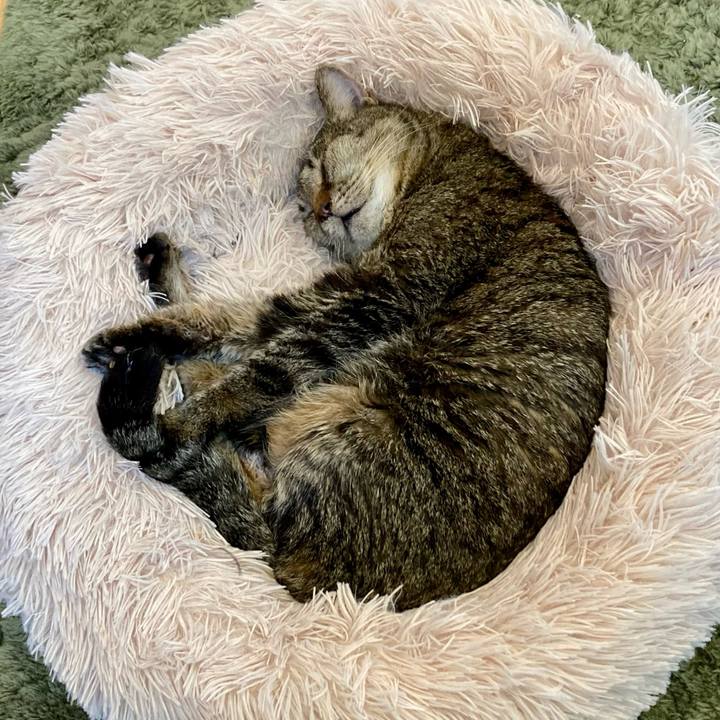 7af18cdf 8af7 4f22 a2b0 838b84a3c1a8 1686714881264