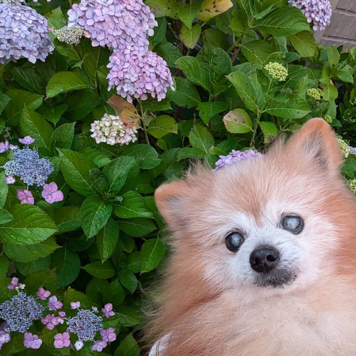 7af1a3f6 007c 4ba3 a80e 2d71c70fff2e 1719632516705