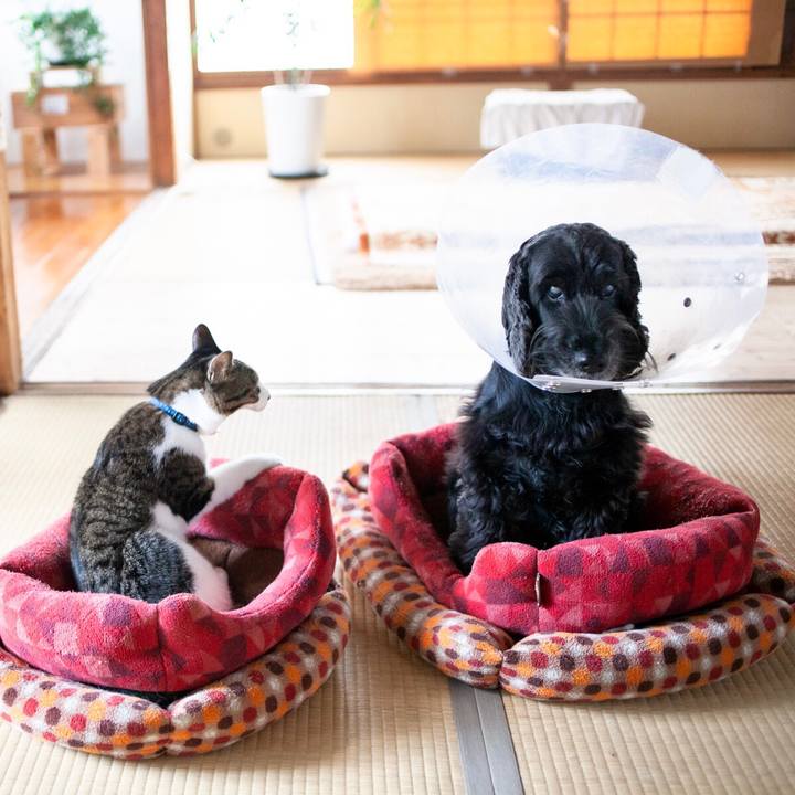 7af2017d d1ab 471e 896a 162987c3b508 1607854990348