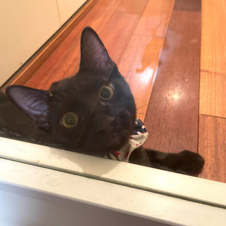 7af21c53 01ce 41fc 9596 0c7e7b9469b4 1756305924751