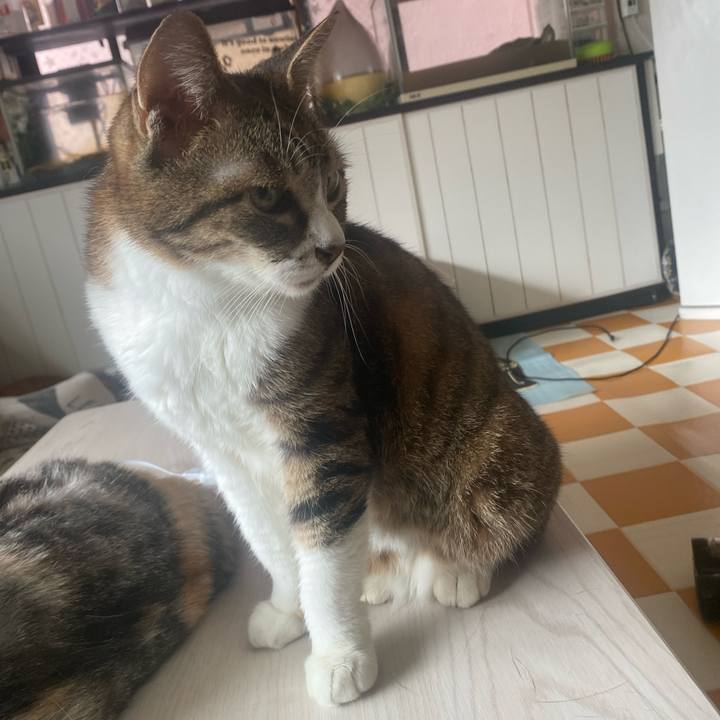 7af22300 b062 4e2e bb63 db04691d9df2 1719624771510