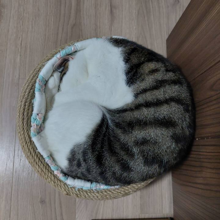 7af23d83 2b71 48d9 8ecb afa67953038d 1656499883686