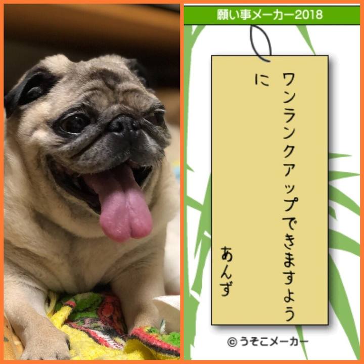 7af24d0d 4258 4d0c 8deb 37e792690098 1530923068519