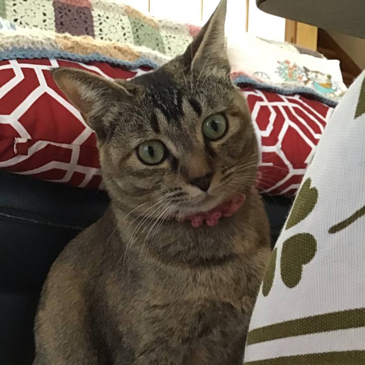 7af25b3c 78f5 48a1 b7c8 5c4b0ad7979f 1588156902706