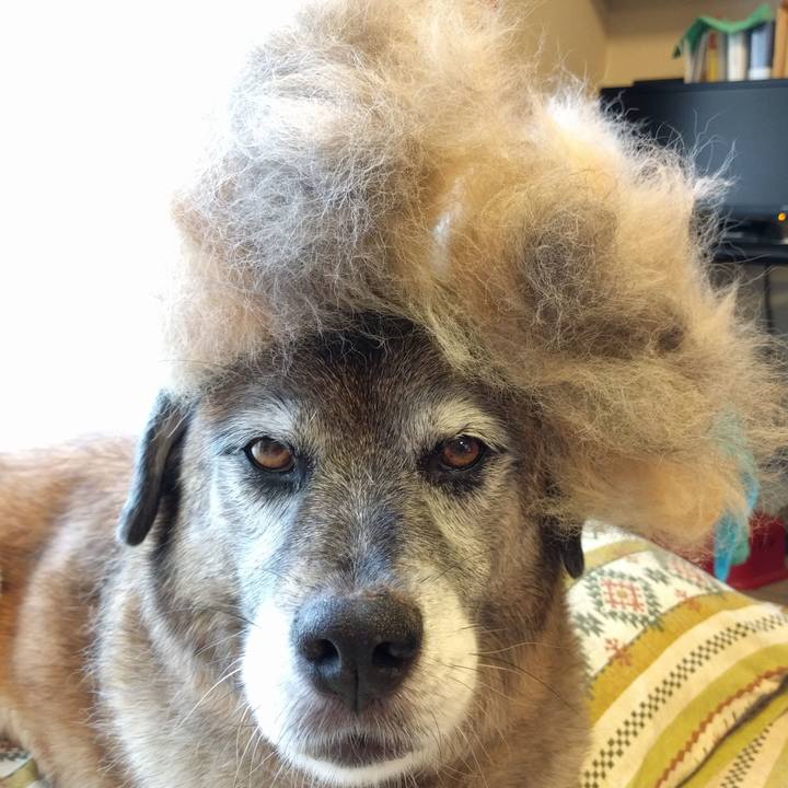 7af28860 8d63 4b28 a501 93f98ace33dc 1721387636093