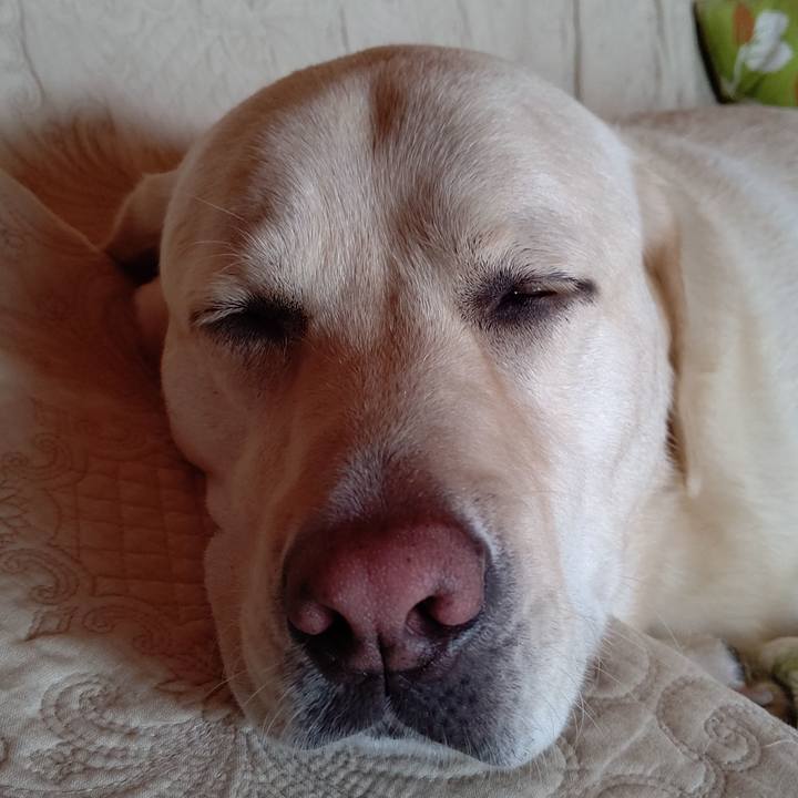 7af2b38a 4de5 4cc8 a449 b7143bf59f86 1600685974133