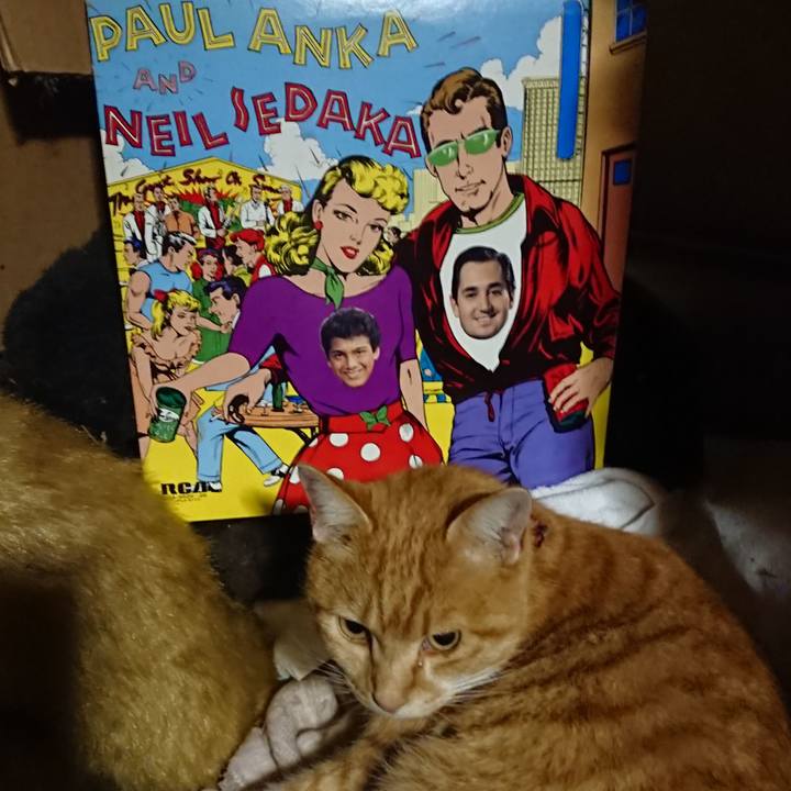 7af2b8db e1d3 4887 bcce 52213f4938f3 1604317262218