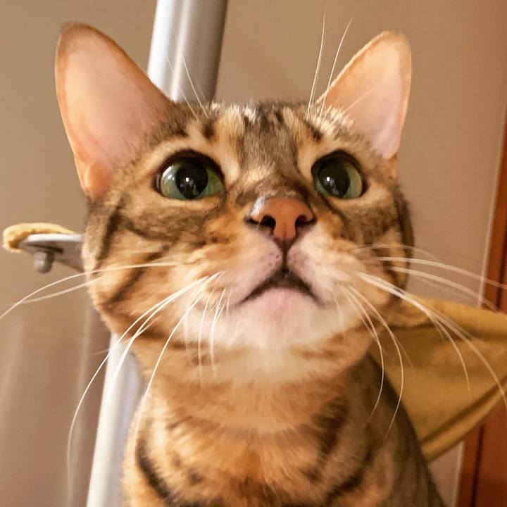 7af2d7c6 e74e 4ce8 826c b5388bde0c1a 1570491328243