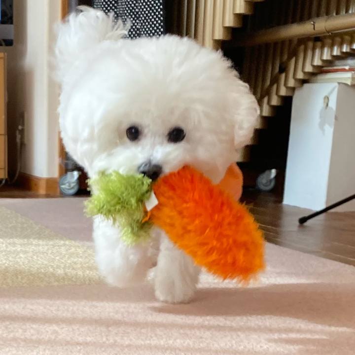 7af2f089 8166 4111 8a66 7ab23ebc2c50 1639103892466