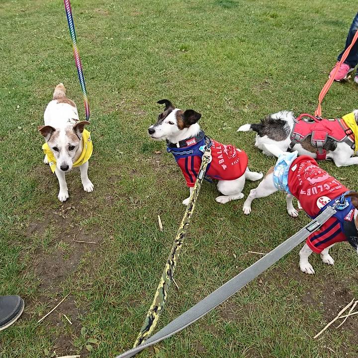 7af30678 3d2e 4566 850d 28fa2f2466b2 1541978994502