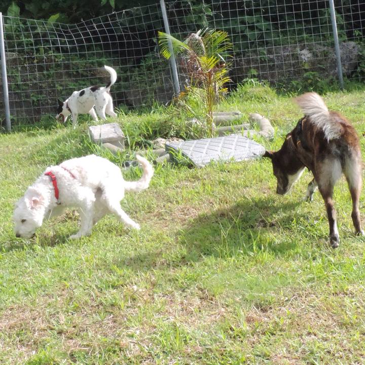 7af30f6c 75bf 44ad 8123 b075231a59a5 1530500277984