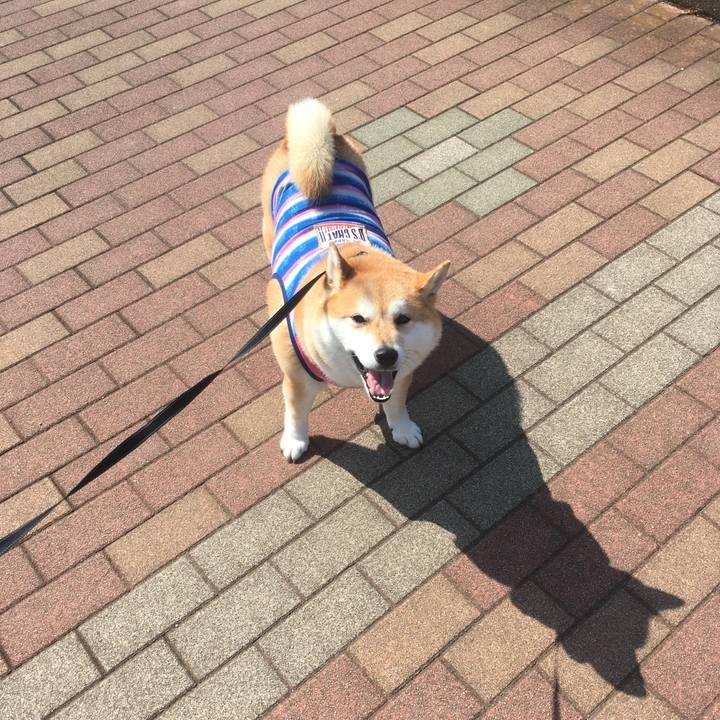 7af327ba 1029 4b50 9514 e17938ee4211 1551758729225