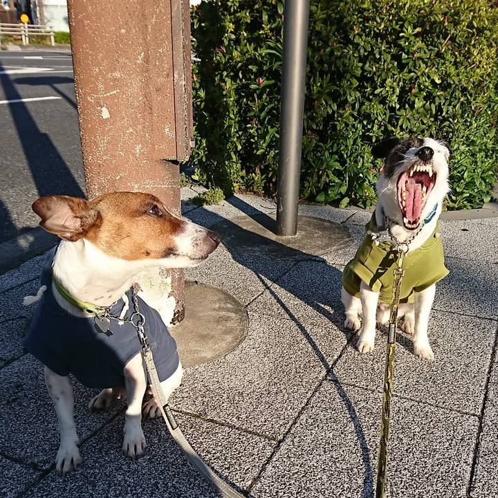 7af331fd d237 4663 b99b 181d0a3c7774 1586123418128