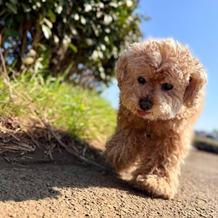 7af335a7 b68e 480d a702 93866b82d8e4 1772350190508