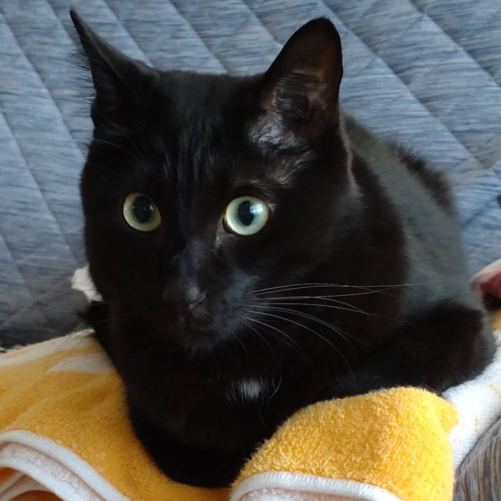 7af337d0 38cd 4c85 b889 fc6a82b3d58a 1666996102382