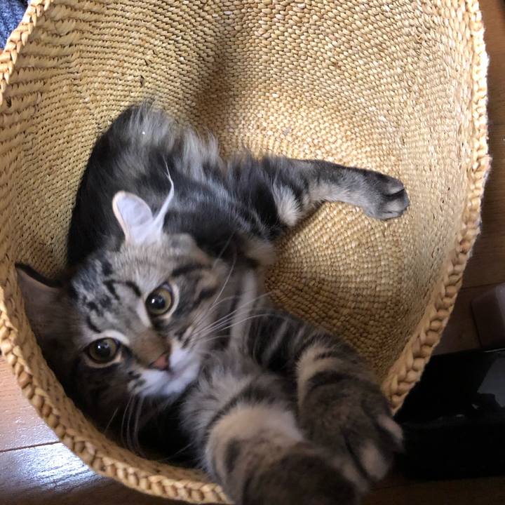 7af3b6fa f5d3 4b15 ad30 19293f22b430 1574116047322