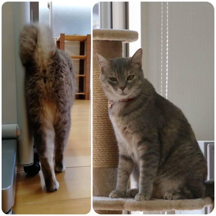 7af3bb8c f895 45d7 8d31 1fa3106d5543 1559284463652