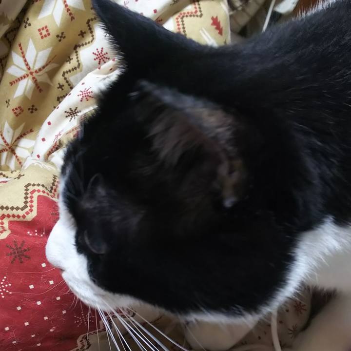 7af3c6dc 17e3 44cf 8dfb 7b2d5e1cdd62 1578434060302