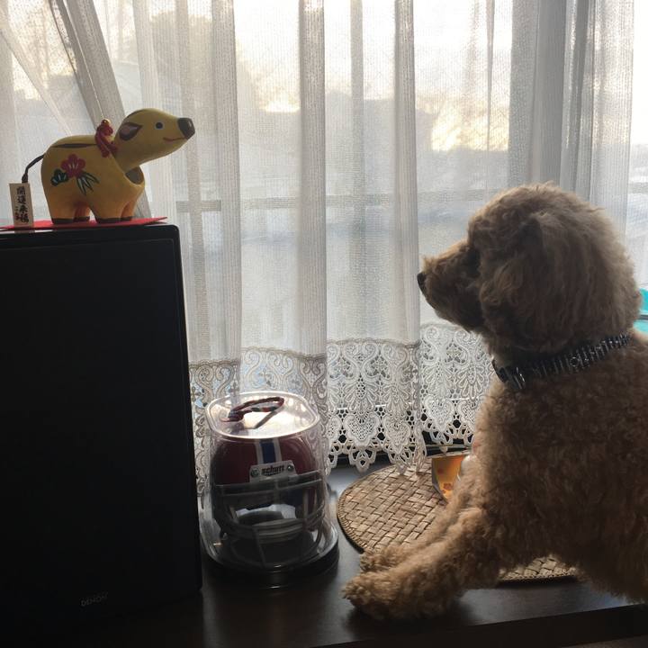 7af3d56a 5624 40e4 8be9 bb02c9dd55a5 1546842493282