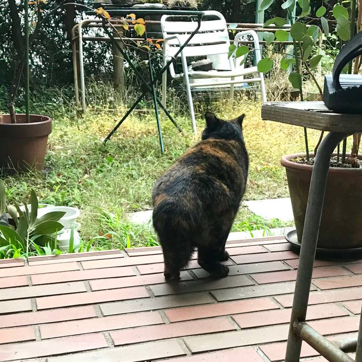 7af3f1c2 1e74 4221 81a3 ae6bc815b208 1511930562060