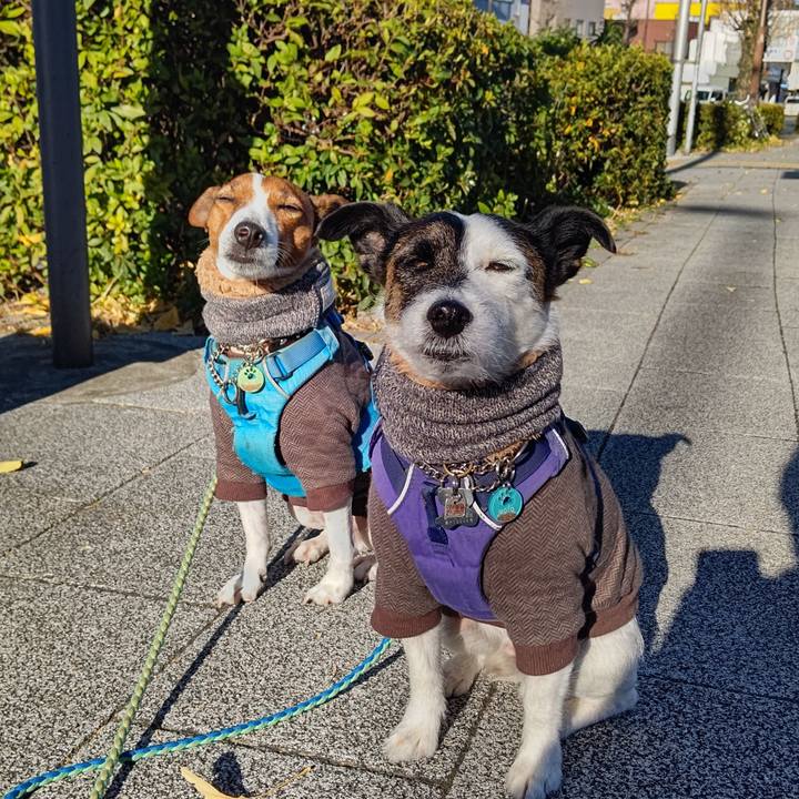 7af40612 3cf3 46e0 8ae5 908daef73396 1672705738187