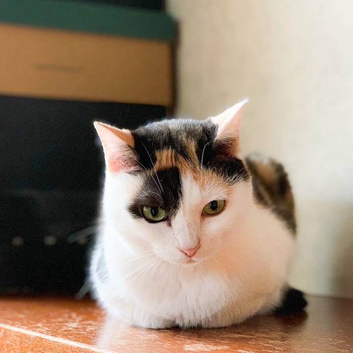 7af42970 8b7a 4a4c 8bd2 ab4a6b7ff010 1567129760881